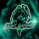 legitgammin avatar