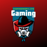 insanegam3r4life_gaming avatar